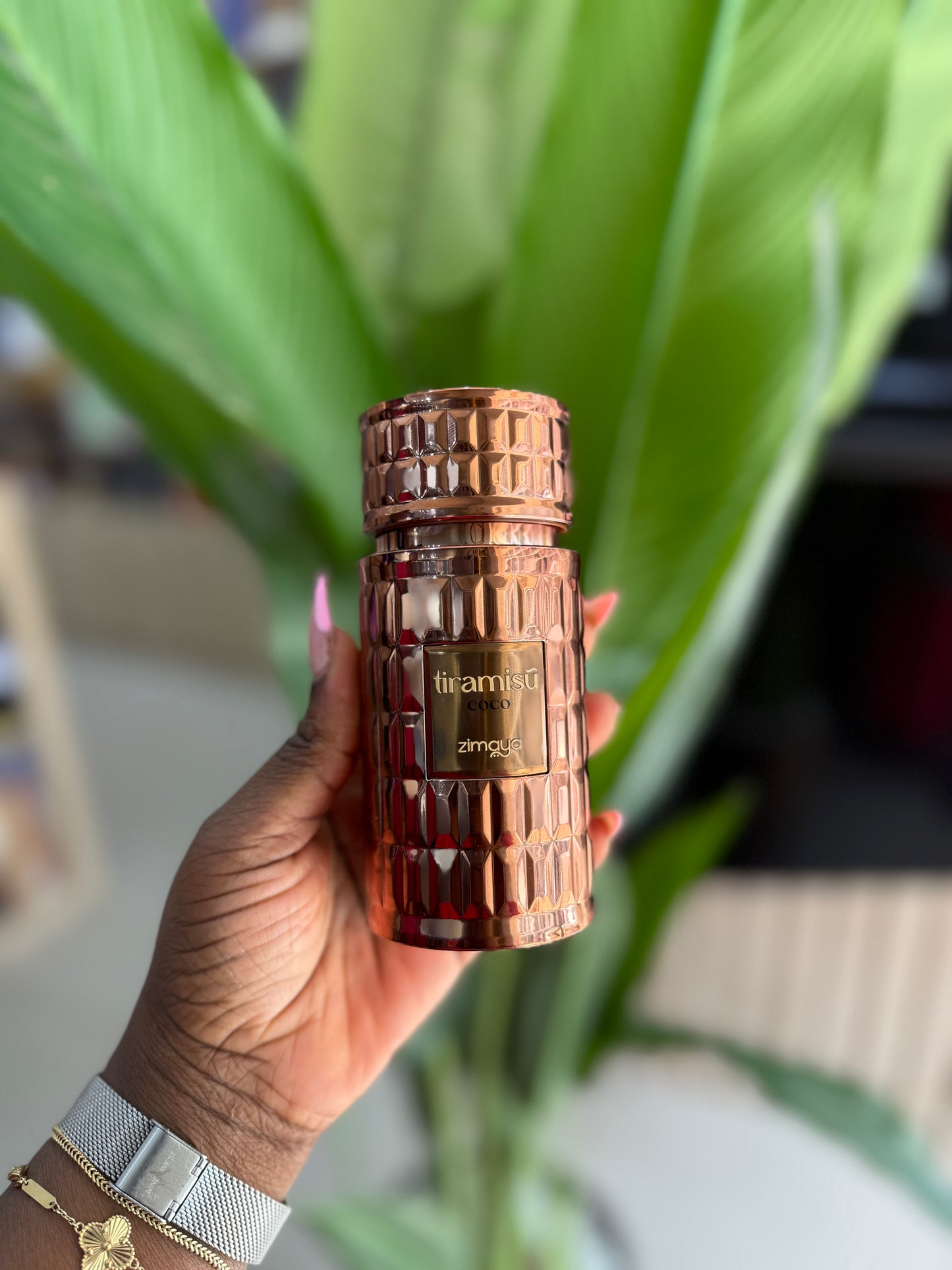 Tiramisu coco edp 100ml