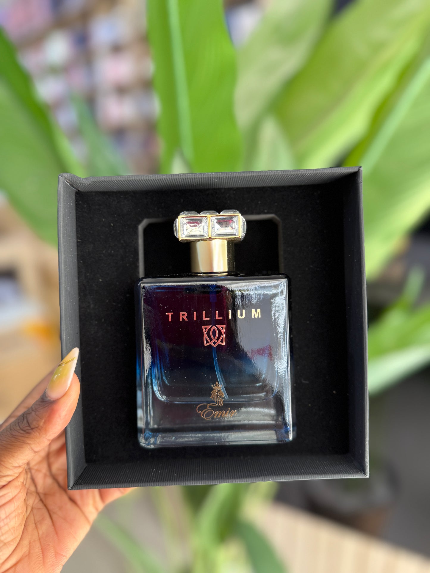 Trillium edp 100ml for men