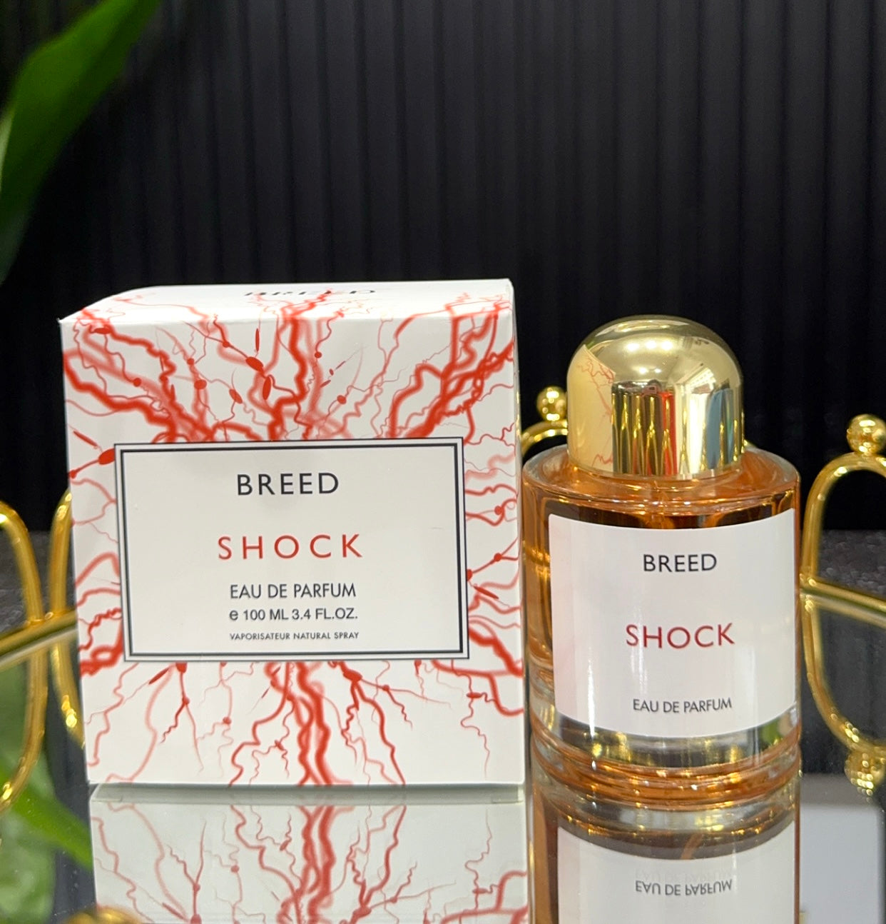 Breed shock edp 100ml for women