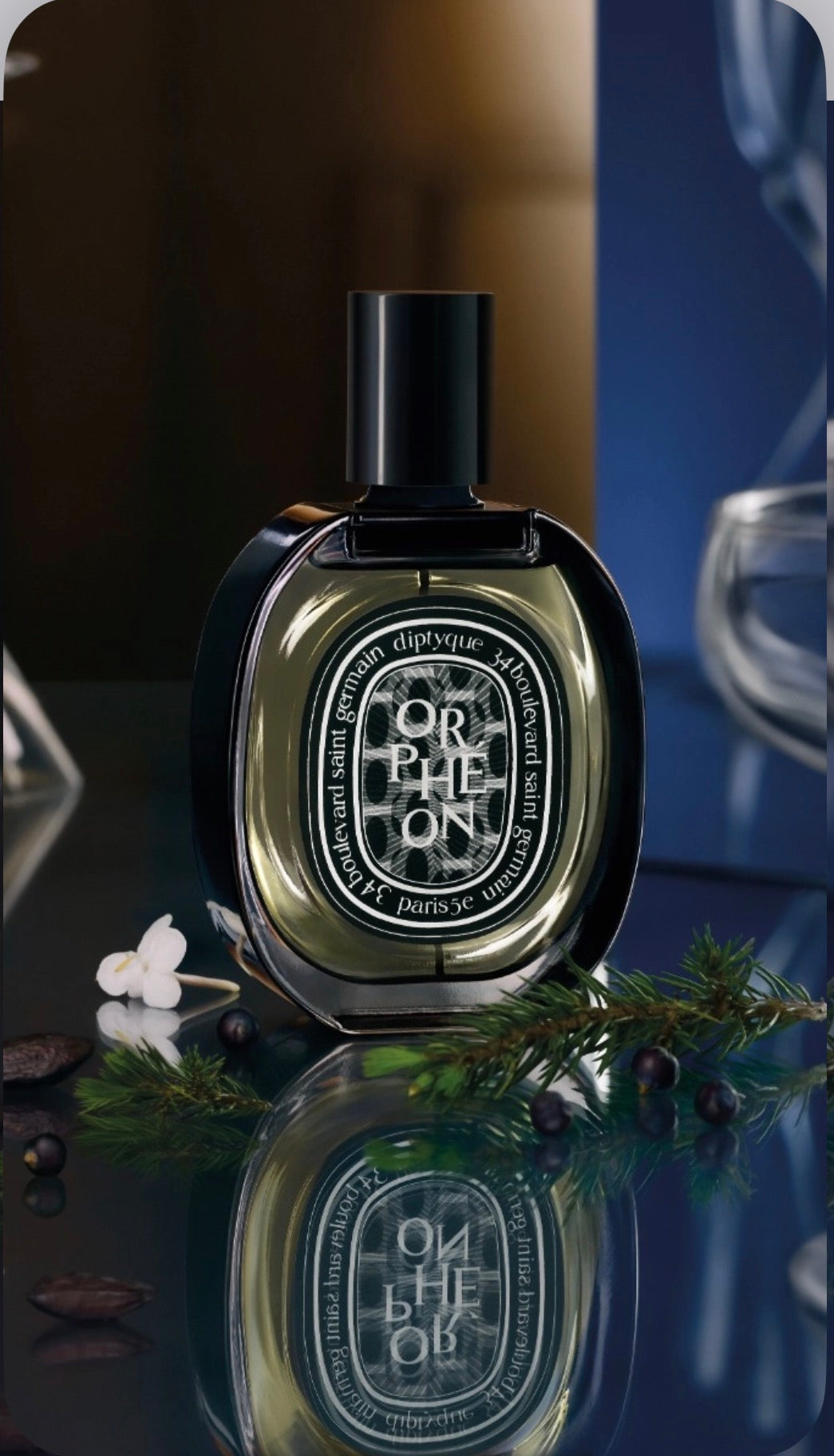 Orpheon Diptyque 75ml EDP – Zash Aura