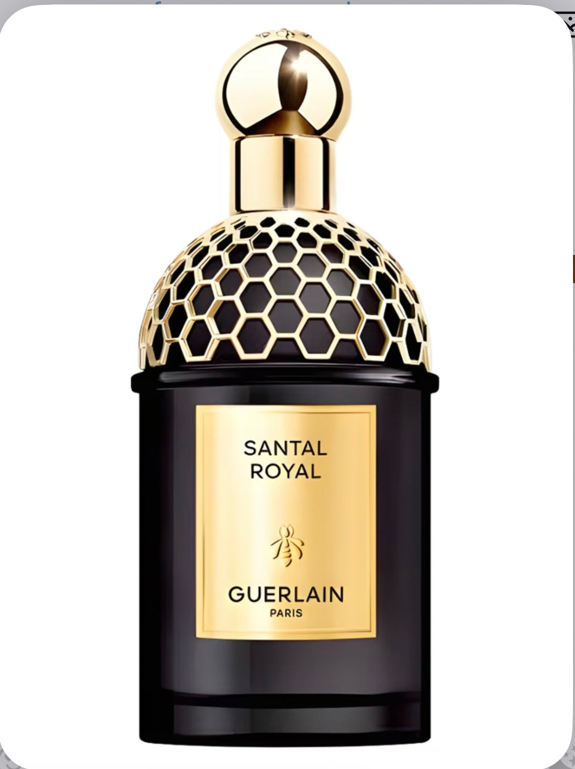 Santal Royal by Guerlain EDP