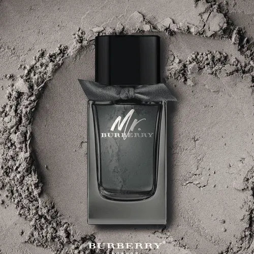 Burberry mr burberry edp 100ml on sale