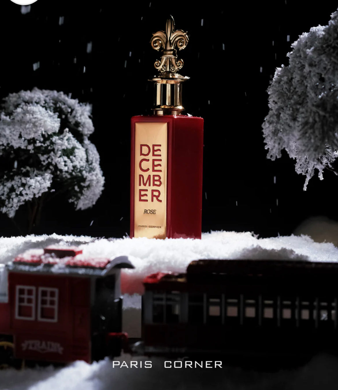 December rose edp 100ml for women