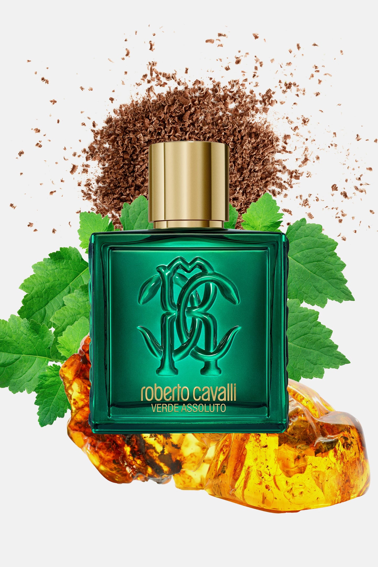 Roberto cavalli Verde Assoluto Uomo EDP for men 100ML