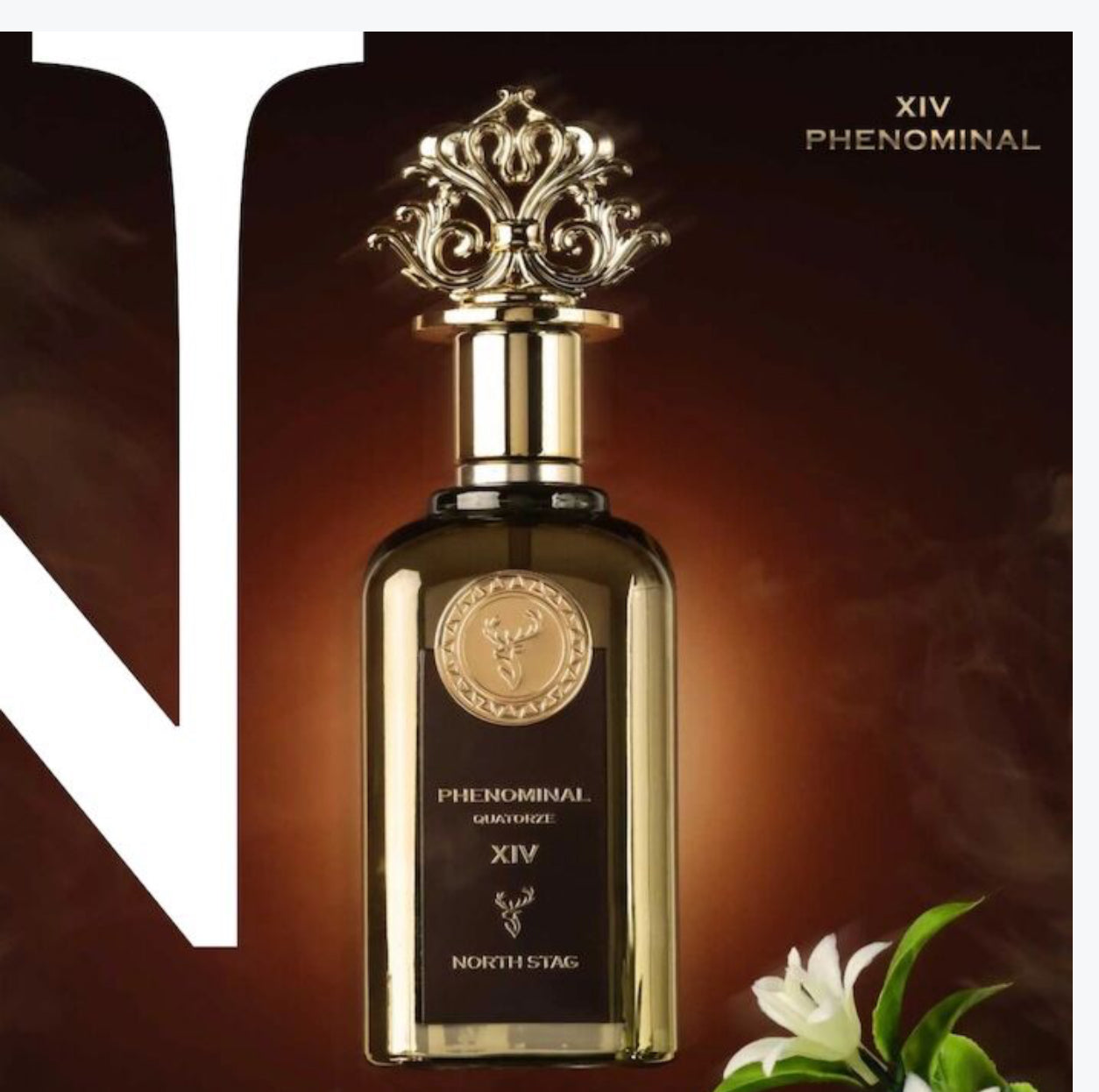 North Stag Phenominal Quatorze XIV EDP 100ml