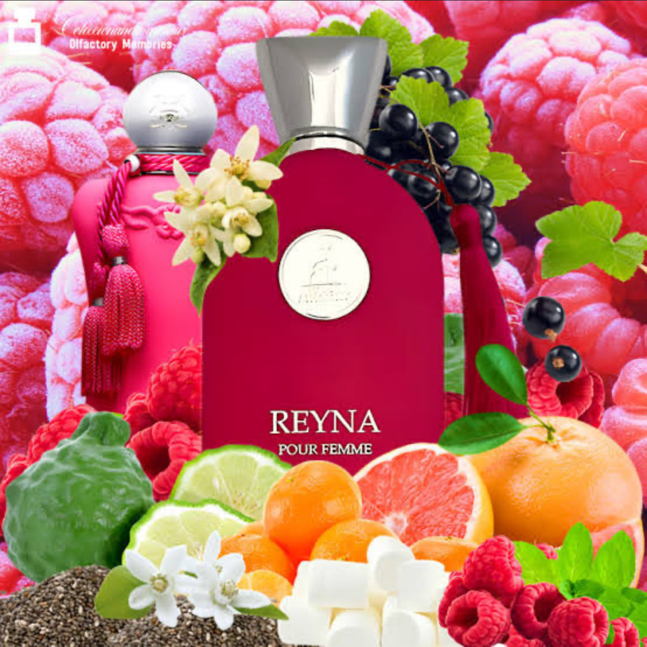 Maison Alhambra Reyna EDP 100ml