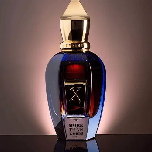 xerjoff more than words EDP 100ml for men